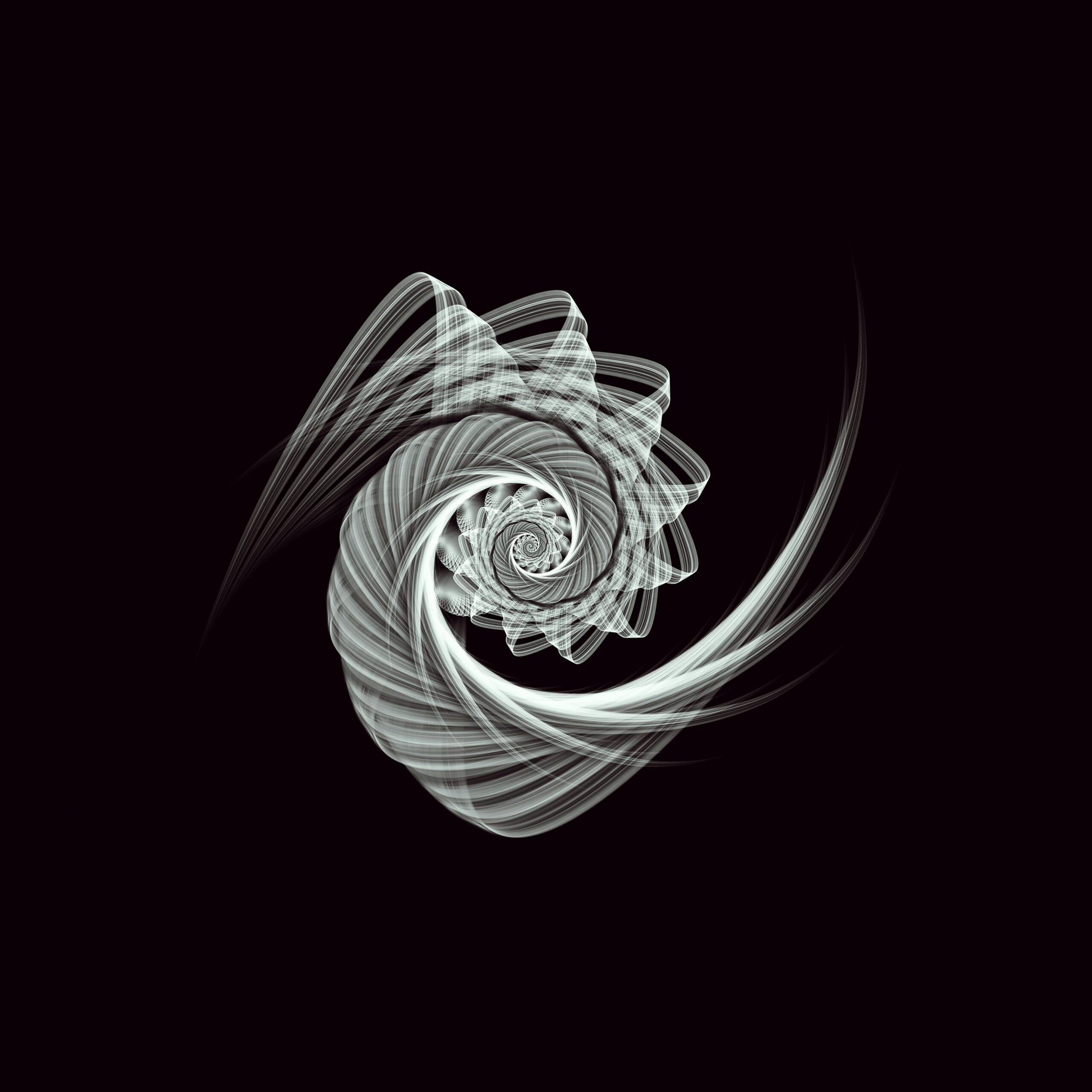 Intricate abstract spiral design on a black background captures a sense of motion and symmetry.